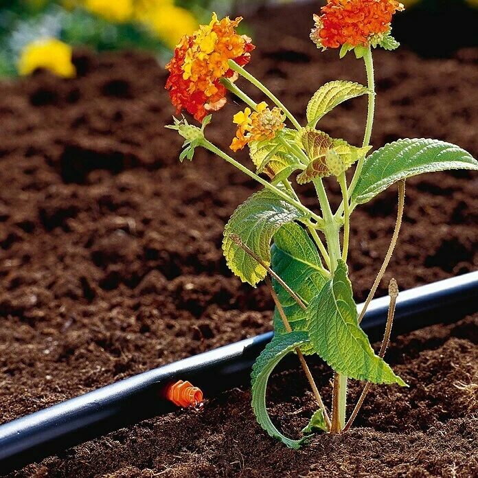 Gardena Micro-Drip Endtropfer 10 Stk., Max. Wasserdurchfluss: 2 L/h, ³⁄₁₆″ 5 Gardena Micro-Drip Endtropfer 10 Stk., Max. Wasserdurchfluss: 2 L/h, ³⁄₁₆″ – Bild 3