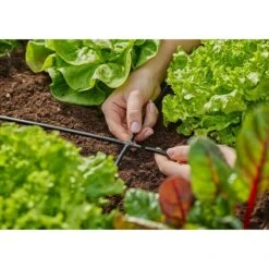 Gardena Micro-Drip Kreuzstück 3/16" X 4,6 Mm, 10 Stk. 10 Gardena Micro-Drip Kreuzstück 3/16" X 4,6 Mm, 10 Stk. -Gartenwerkzeuge 12 1043
