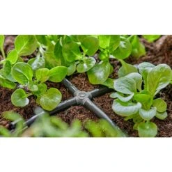 Gardena Micro-Drip Kreuzstück 3/16" X 4,6 Mm, 10 Stk. 12 Gardena Micro-Drip Kreuzstück 3/16" X 4,6 Mm, 10 Stk. -Gartenwerkzeuge 12 1045