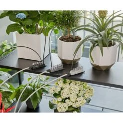 Gardena Urlaubsbewässerung Inkl. Wasserreservoir Passend Für: Für Bis Zu 36 Topfpflanzen 12 Gardena Urlaubsbewässerung Inkl. Wasserreservoir Passend Für: Für Bis Zu 36 Topfpflanzen -Gartenwerkzeuge 12 1080