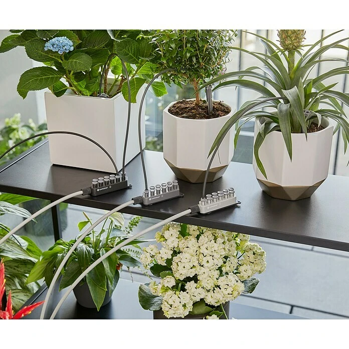 Gardena Urlaubsbewässerung Inkl. Wasserreservoir Passend Für: Für Bis Zu 36 Topfpflanzen 7 Gardena Urlaubsbewässerung Inkl. Wasserreservoir Passend Für: Für Bis Zu 36 Topfpflanzen – Bild 5