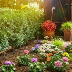 Gardena Micro-Drip Start-Set Geeignet Für: Pflanzreihen Bis 15 M, Anwendungsbereich: Außen 13 Gardena Micro-Drip Start-Set Geeignet Für: Pflanzreihen Bis 15 M, Anwendungsbereich: Außen -Gartenwerkzeuge 12 1092