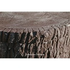 Regentonne Little Tree 250 L, Dunkelbraun -Gartenwerkzeuge 12 1617