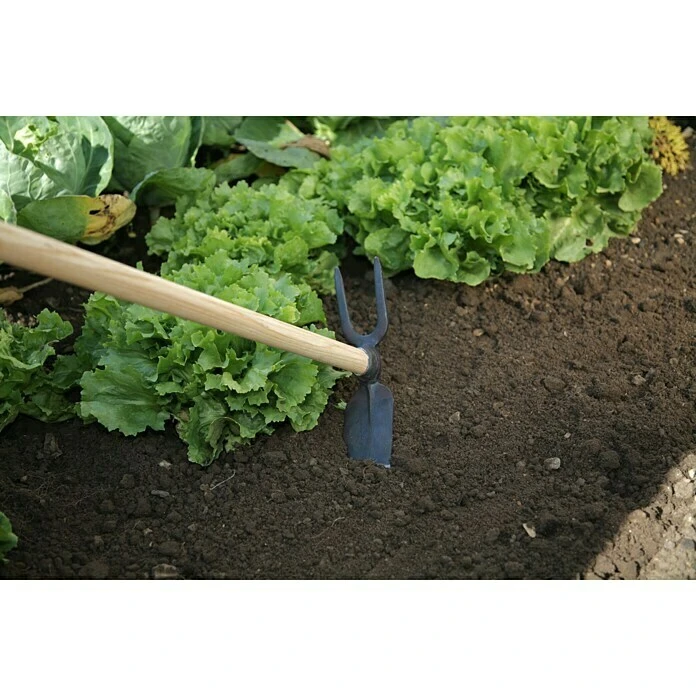 Gardol Gartenhacke Breite: 70 Mm, Anzahl Zinken: 2, Langstiel 4 Gardol Gartenhacke Breite: 70 Mm, Anzahl Zinken: 2, Langstiel – Bild 2
