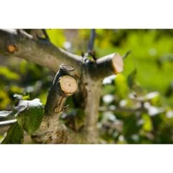 Gardena Comfort Ratschenschere Smart Cut Amboss, Max. Aststärke: 22 Mm, Ratschengetriebe -Gartenwerkzeuge 12 3124