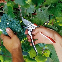 Gardena Premium Gartenschere BP50 Bypass, Max. Aststärke: 22 Mm -Gartenwerkzeuge 12 3162