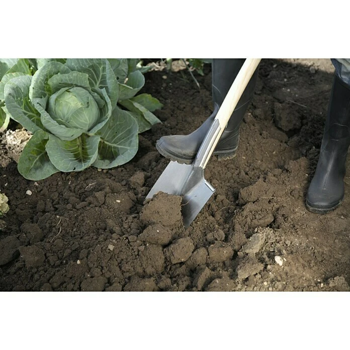 Gardol Gärtnerspaten 245 X 165 Mm, T-Stiel 4 Gardol Gärtnerspaten 245 X 165 Mm, T-Stiel – Bild 2