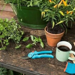 Gardena Classic Gartenschere S-M I Schneidsystem: Bypass, Max. Aststärke: 22 Mm -Gartenwerkzeuge 12 3473