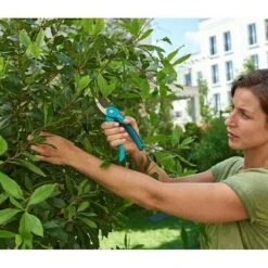 Gardena Classic Gartenschere S-M I Schneidsystem: Bypass, Max. Aststärke: 22 Mm -Gartenwerkzeuge 12 3475