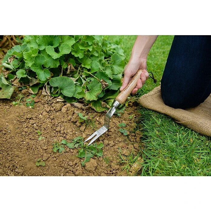 Kent & Stowe Unkrautstecher 4 Cm 4 Kent & Stowe Unkrautstecher 4 Cm – Bild 2