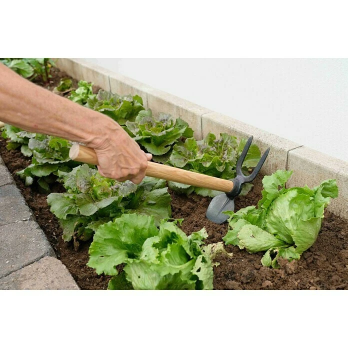 Gardol Doppelhacke 2, Herzblatt, Kurzstiel 4 Gardol Doppelhacke 2, Herzblatt, Kurzstiel – Bild 2